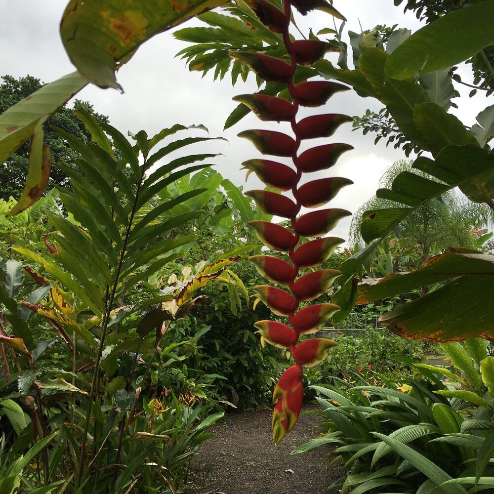 Meet your Posher, Jocelyn